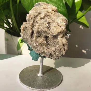 11-12 cm Kristalno Drevo Naravnih Apophyllite Quartz Zeolita Gemstone Mineralnih Vzorec Zdravljenja Ljubezen Darilo