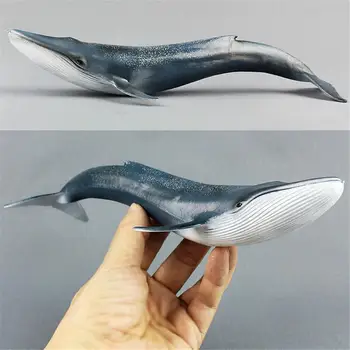 Ocean Sealife Živali Veliko Emulational Modrega Kita Sperme Kit Morski Pes Živalski Model Za Otroke Učenje Igrače Otrok Darilo