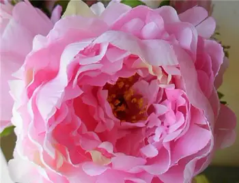 Vroče prodajo 7 glav nevesta poročni šopek cvetja peony rose svile cvet umetne rože za dekoracijo doma tabela cvetje